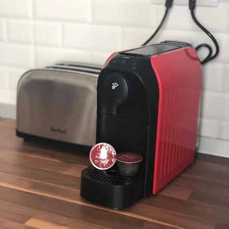 Patrick's Cozy קונסטנצה